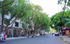 Điều gì giúp tuyến phố thương mại tại lõi huyết mạch Ban Mê sớm thành hình?