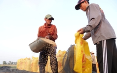Philippines lại thông báo ngưng nhập khẩu, gạo Việt Nam có bị ảnh hưởng?