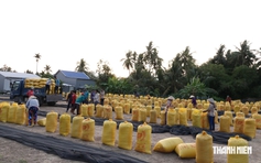 Hiệp hội Lương thực bất ngờ gửi 'tâm thư' đến doanh nghiệp lúa gạo