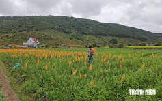 Đất nông nghiệp ở Lâm Đồng từ 500 m² được xây công trình phục vụ sản xuất