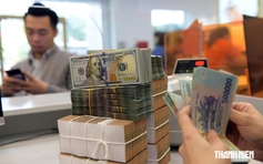 Nhiều doanh nghiệp đã đóng cửa nhưng vẫn lo bị... tạm hoãn xuất cảnh