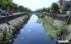 Nghệ An 'giải cứu' dòng kênh chết