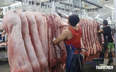 TP.HCM siết quản lý an toàn thực phẩm, bảo vệ bữa ăn của 14 triệu dân ra sao?