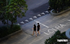 Vì sao có xu hướng người trẻ 'thuê'... một người bên cạnh?