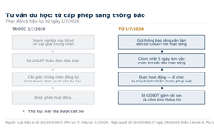Từ 1.7, tư vấn du học không còn xin giấy phép: Phụ huynh kiểm tra thế nào?