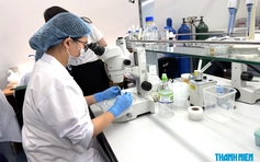 1.500 học bổng cho nhà khoa học trẻ, sinh viên xuất sắc học trường top thế giới