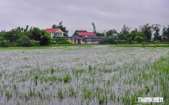 2 người bị sét đánh thương vong