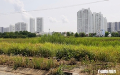 Minh bạch giá đất, tăng cơ hội tiếp cận nhà ở