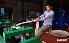 Quả trà Hoàng Su Phì tìm biểu tượng mới cho trà Việt
