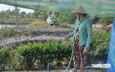 Cà Mau đưa nước sạch về vùng khó khăn trước mùa khô 2027