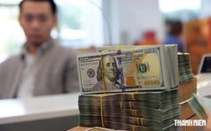 Giá USD hôm nay 28.8.2026: Đô la Mỹ, EUR, bảng Anh... cùng giảm