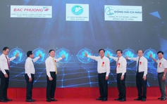Cà Mau xây dựng 3 dự án nhà máy điện gió hơn 6.300 tỉ đồng