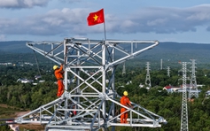 Điện lực miền Nam: Vượt khó ‘về đích’ 3 công trình trọng điểm phục vụ APEC 2027