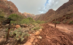 Nhiều người mất tích sau khi lũ quét ở Grand Canyon của Mỹ