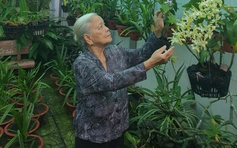 Cách cụ bà U.90 kiếm tiền làm từ thiện
