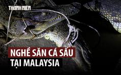 Thợ săn bận rộn khi cá sấu bắt nhiều người ở Malaysia
