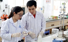 Học bổng 3,7-5,5 triệu đồng/tháng được cấp cho sinh viên ngành nào, trường nào?