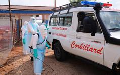 Lo ngại virus Ebola đột biến, CDC châu Phi tung chiến dịch 'gõ cửa từng nhà'