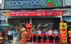 Co.op Food đồng loạt khai trương và nâng cấp 9 cửa hàng