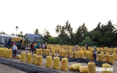 Tin tức đặc biệt trên báo in Thanh Niên 11.9.2026