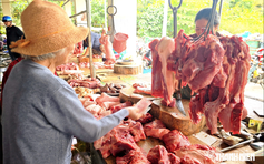 Giá heo hơi hôm nay 15.9.2026: Tăng nhẹ vài nơi