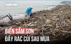 Rác thải, thân cây 'bịt kín' đường ra khơi biển Sầm Sơn