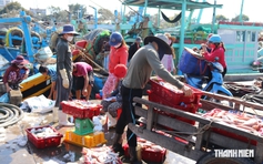 Bộ Quốc phòng yêu cầu xử lý gấp vi phạm IUU tại Lâm Đồng, TP.HCM, Cà Mau