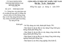 Thu hồi chứng chỉ hành nghề của 4 cá nhân do sử dụng bằng đại học giả
