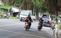 Án mạng ở Củ Chi khiến 4 người thương vong: Nghi phạm bị bắt tại Tây Ninh