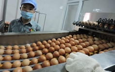 Thành viên WTO ban hành 63 thông báo mới về SPS
