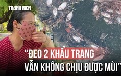 Ám ảnh mùi cá chết tại hồ Công viên Nghĩa Đô: 'Đeo 2 khẩu trang vẫn không chịu được mùi'