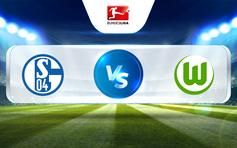 Trực tiếp bóng đá Schalke vs Wolfsburg, Bundesliga, 20:30 10/02/2023