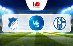 Trực tiếp bóng đá Hoffenheim vs Schalke, Bundesliga, 00:30 10/04/2023