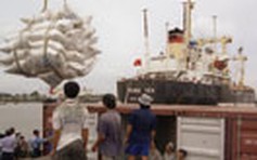 Doanh nghiệp chưa mặn mà với bảo hiểm tín dụng xuất khẩu