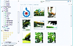 Công cụ Windows Photo Gallery trong Windows Vista Utimate