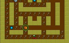 Animal Chase