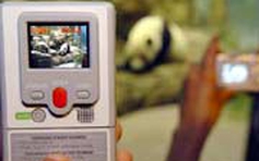 Máy quay phim dùng một lần