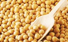 Đậu nành bảo vệ xương ở phụ nữ mãn kinh