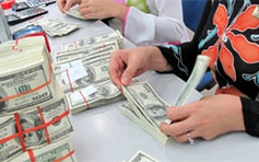 Nên “hút” 10 tỉ USD từ thị trường tự do