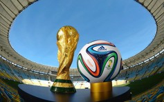 VTV chưa thể sở hữu bản quyền World Cup 2014