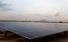 Điện mặt trời tăng mạnh tại Tây Ninh