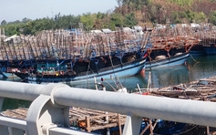 Tàu câu mực của ngư dân Quảng Ngãi với 27 lao động bị tàu lạ đâm chìm