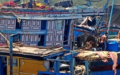 Quảng Ngãi: Hàng trăm ngư dân không thể lên bờ vì dịch Covid-19