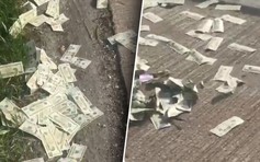 600.000 USD rơi trên xa lộ, cảnh sát kêu gọi người nhặt trả lại