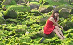 Bãi đá rêu xanh xứ sở 'Hoa vàng trên cỏ xanh' gây bão cộng đồng mạng