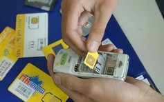 Cam kết không để nghẽn mạng dịp tết