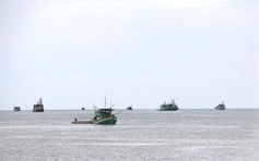 Cà Mau: Xóa đăng ký 21 tàu cá và có 33 tàu thuộc dạng mất tích