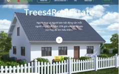 Trees4RealEstate - chương trình tiết kiệm mới, tham vọng trên thị trường