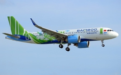 Bamboo Airways tăng gần 700.000 chỗ phục vụ hành khách dịp Tết Canh Tý 2020