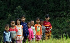 Đồng quê mùa dịch, cầu mong bình minh sớm về trên vùng quê yêu dấu của tôi